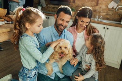 Een nieuwe hond? The perfect match voor binnen je gezin!